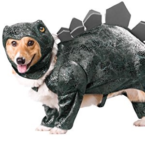 Stegosaurus Dog Costume