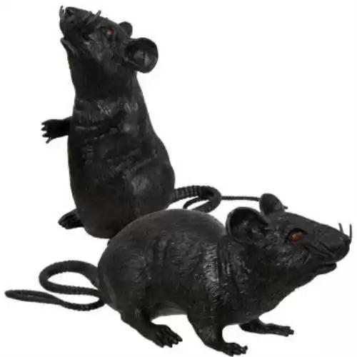 Two Black Plastic Squeaking Rats for Spooky Halloween Decor