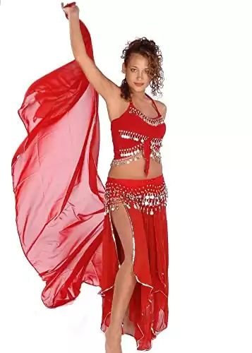 Belly Dance Costume Set