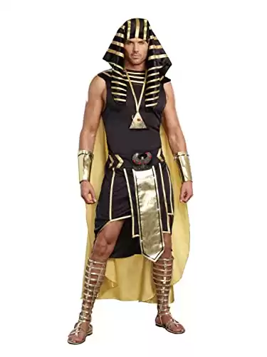 Dreamgirl Men's Adult Fashion King of Egypt King Tut Costume, Gold