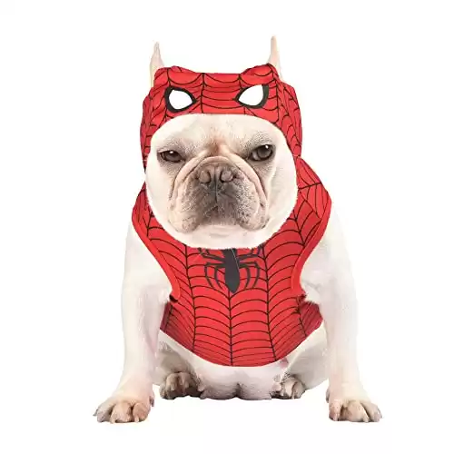 Marvel for Pets Spiderman Dog Costume