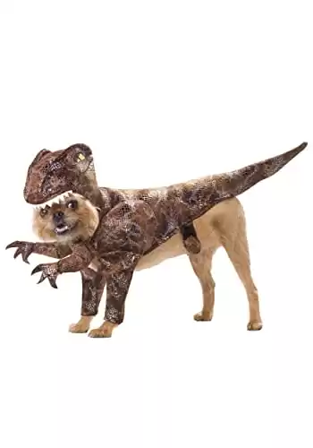 Animal Planet Raptor Dog Costume