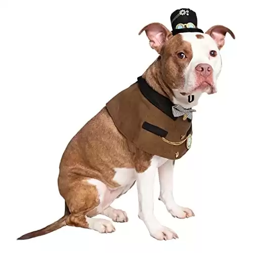 Steampunk Dog Costume with Hat and Collar Set
