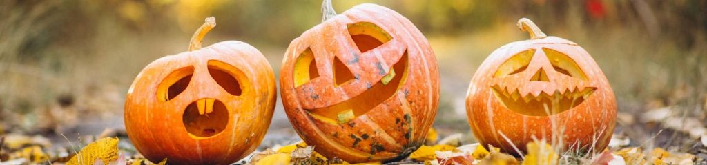 Happy Halloween Costumes