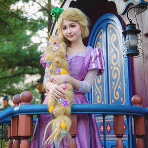 Disney princess costumes